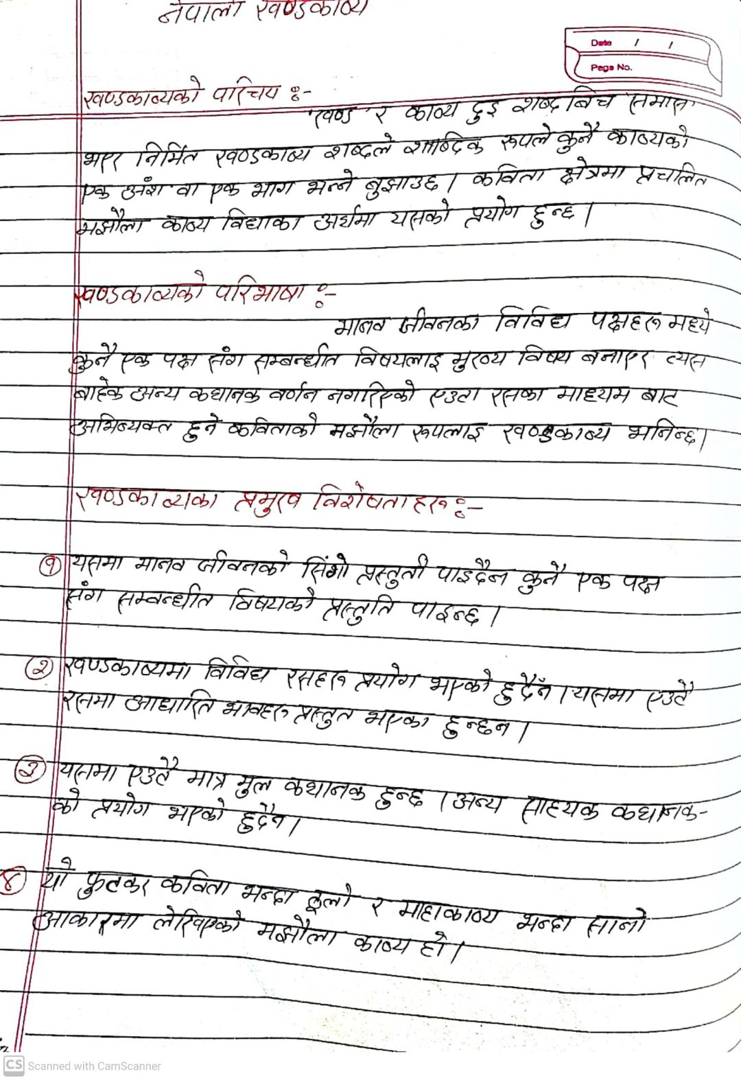 nepali essay class 12