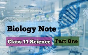 Read more about the article Class 11 Biology Note: Part One