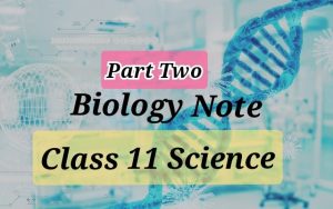 Read more about the article Class 11 Biology Note: Part Two (Neb New Course)