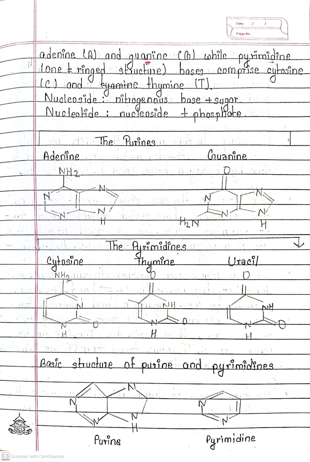 Class 11 Biology Note: Part Two (Neb New Course) - Your All Notes