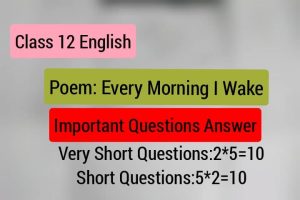 Read more about the article Every Morning I Wake: Important Questions and Answers for the Final Exam