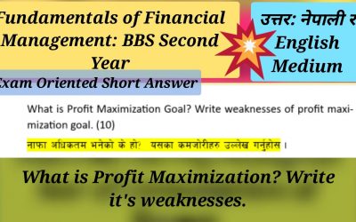 What is Profit Maximization Goal? Write its weaknesses: BBS Second: Fundamentals of Financial Management