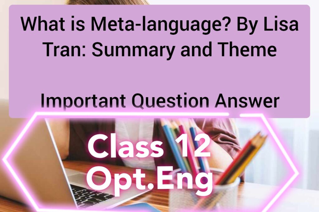 what-is-meta-language-by-lisa-tran-summary-and-theme-your-all-notes